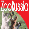 Итоги выставки «Зоо Россия 2009»