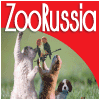 В Москве открылась выставка «Зоо Россия 2011» 